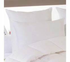 Top 10 🔥 DODO Oreiller Coton Bio Eco Responsable Medium 50 X 75 Cm Blanc 🎁