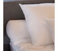 Nouveau ✨ DODO Traversin Columbia 140 Cm Blanc 🤩