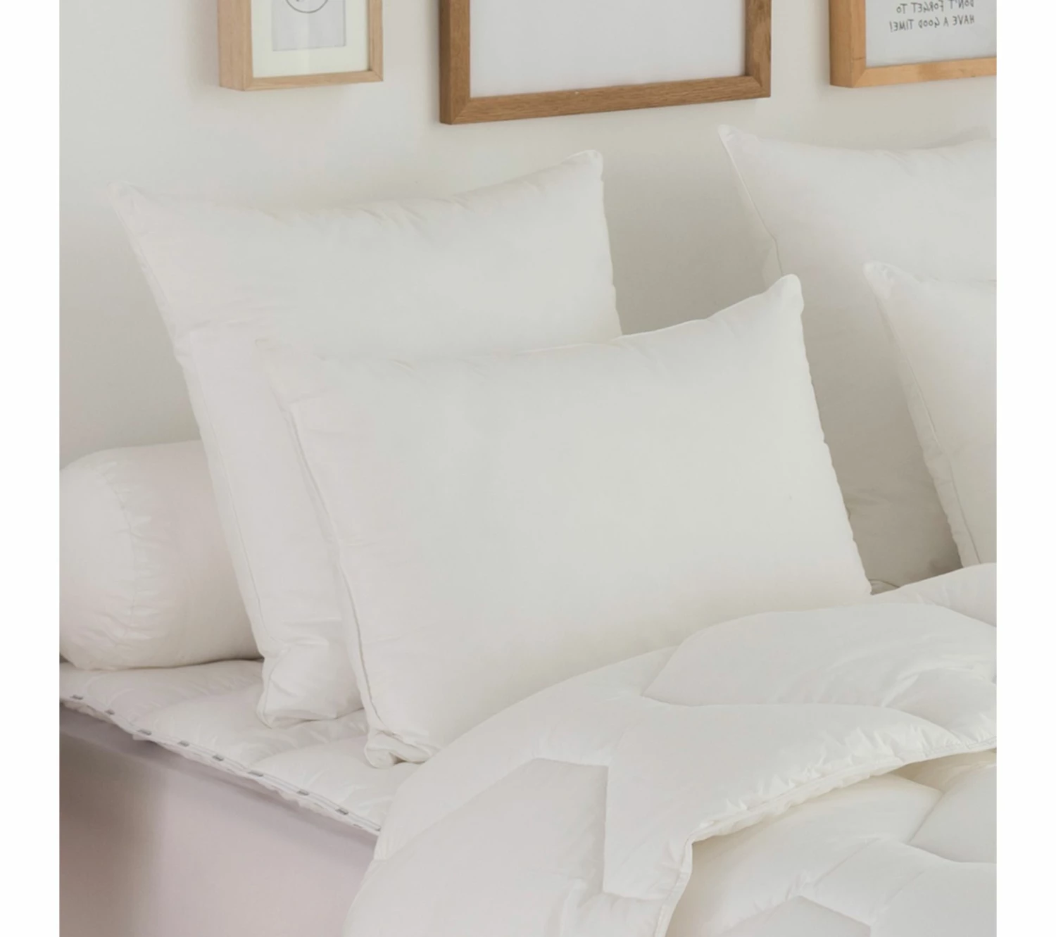 Nouveau 🤩 DODO Oreiller Plumes Tres Ferme 50 X 70 Cm Blanc 👍 3 Nouveau 🤩 DODO Oreiller Plumes Tres Ferme 50 X 70 Cm Blanc 👍