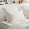 Meilleure vente 😍 DODO Oreiller 50% Duvet Eco-responsable Ferme 40 X 60 Cm Blanc ✨ -Doublures de lit Soldes 3307416436919 Q