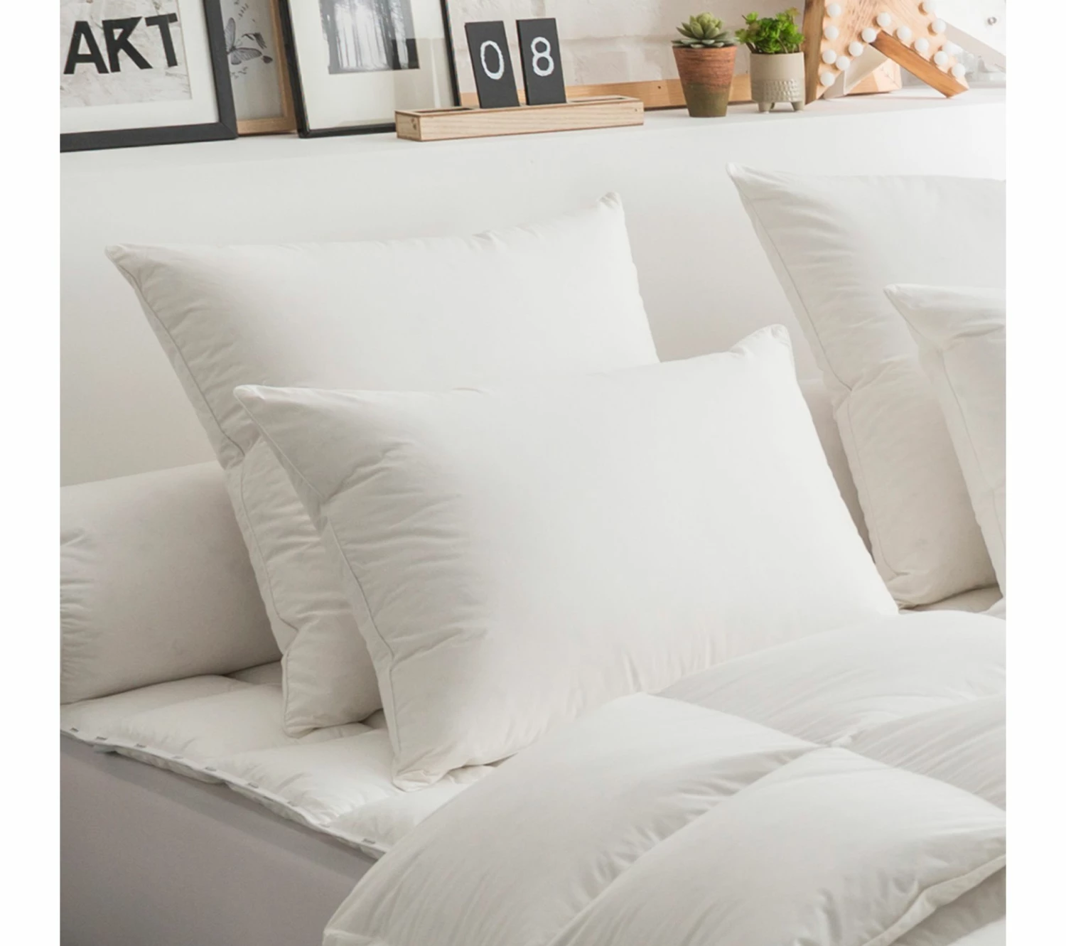 De gros 👏 DODO Oreiller 50% Duvet Eco-responsable Ferme 65 X 65 Cm Blanc ⭐ 3 De gros 👏 DODO Oreiller 50% Duvet Eco-responsable Ferme 65 X 65 Cm Blanc ⭐