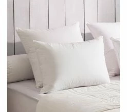 Vente flash ✔️ DODO Oreiller 90% Duvet Eco-responsable Moelleux 40 X 60 Cm Blanc 🎉