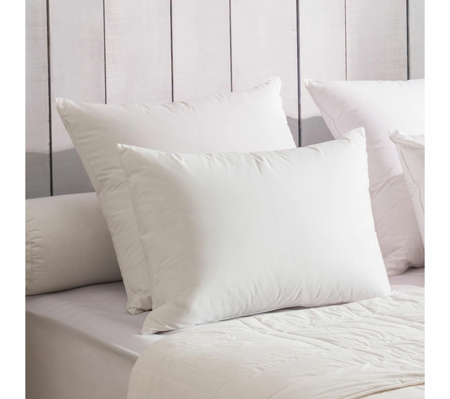 De gros 🎉 DODO Oreiller 90% Duvet Eco-responsable Medium 65 X 65 Cm Blanc 🔥 3 De gros 🎉 DODO Oreiller 90% Duvet Eco-responsable Medium 65 X 65 Cm Blanc 🔥