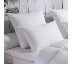 Coupon 👏 DODO Oreiller 70% Duvet Doie Moelleux 50 X 70 Cm Blanc ⭐