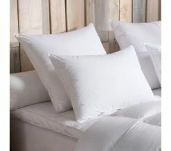 Bon marché ✨ DODO Oreiller 90% Duvet Doie Medium 60 X 60 Cm Blanc ⌛