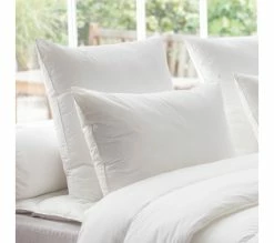 Le moins cher 😀 DODO Oreiller Thermoduv 70% Duvet Doie Medium 50 X 70 Cm Blanc 🛒