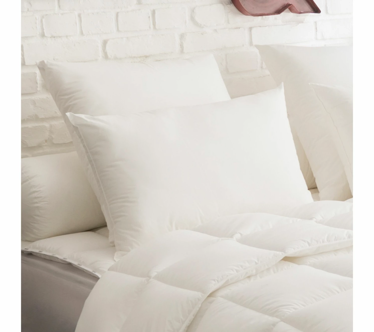 Le moins cher 😍 DODO Oreiller Ultraconfort Medium 50 X 70 Cm Blanc 🧨 3 Le moins cher 😍 DODO Oreiller Ultraconfort Medium 50 X 70 Cm Blanc 🧨