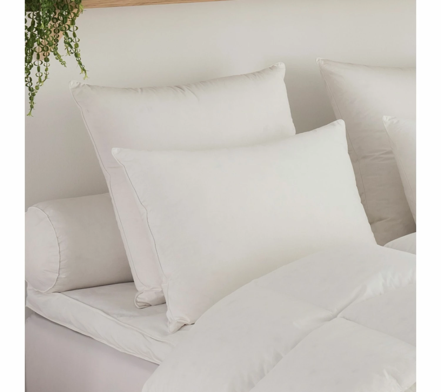 Top 10 ⭐ DODO Oreiller Micro Green Toucher Duvet Moelleux 50 X 70 Cm Blanc ✔️ 3 Top 10 ⭐ DODO Oreiller Micro Green Toucher Duvet Moelleux 50 X 70 Cm Blanc ✔️
