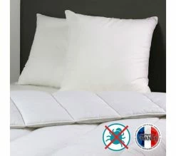 Nouveau 🤩 DODO Lot De 2 Oreillers Anti-acariens Belle Nuit 60x60 Cm Blanc ✔️ -Doublures de lit Soldes 3307418406729 AMB1