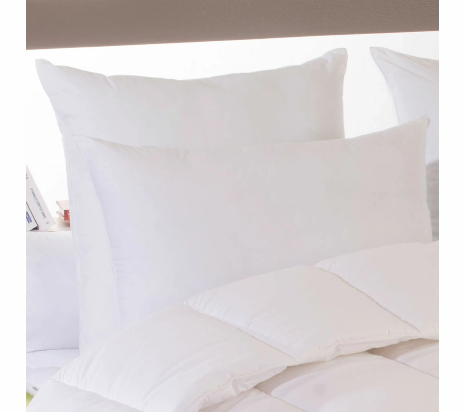 Tout neuf ❤️ DODO Oreiller Coton Bio Eco Responsable Medium 65 X 65 Cm Blanc 🥰 3 Tout neuf ❤️ DODO Oreiller Coton Bio Eco Responsable Medium 65 X 65 Cm Blanc 🥰