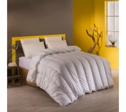 Budget ⭐ DODO Couette Nuits Calmes - Anti-acariens -tempérée 220 X 240 Cm Blanc 🎉