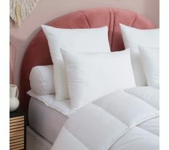 Top 10 🛒 DODO Oreiller Eco Planète - Moelleux 60 X 60 Cm Blanc 🤩