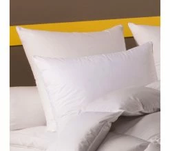 Top 10 ❤️ DODO Lot De 2 Oreillers Confort Protect - Anti-acariens - Moelleux 60 X 60 Cm Blanc 🌟